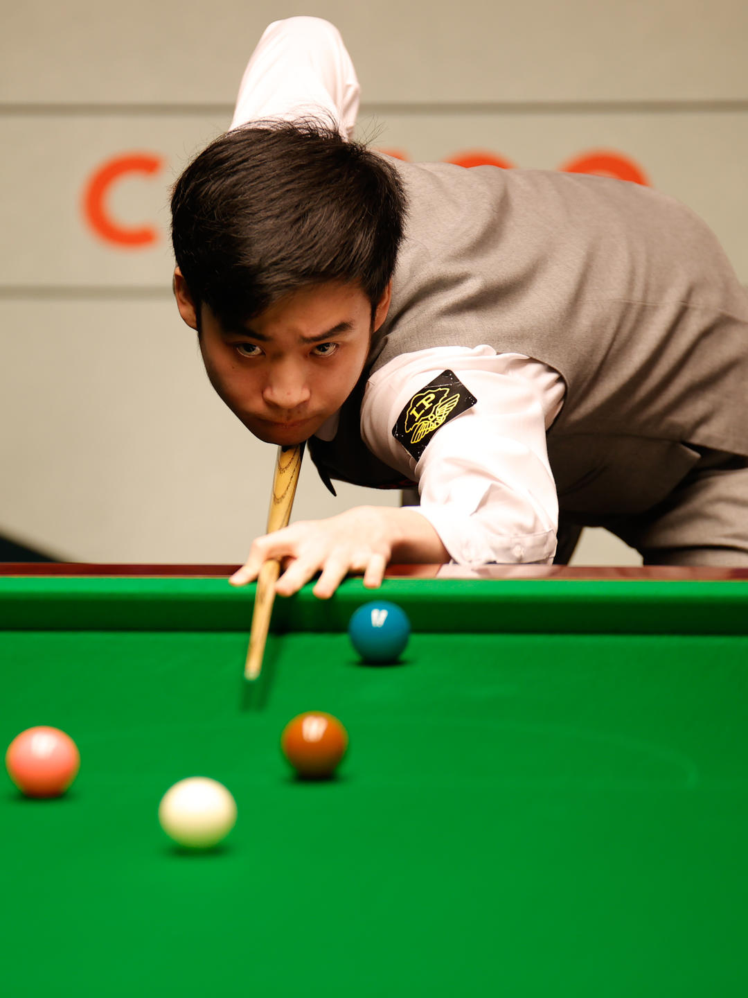 有一定相似 有一定相似